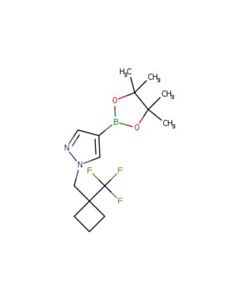 Astatech 4-(4,4,5,5-TETRAMETHYL-1,3,2-DIOXABOROLAN-2-YL)-1-((1-(TRIFLUOROMETHYL)CYCLOBUTYL)METHYL)-1H-PYRAZOLE; 1G; Purity 95%; MDL-MFCD33404827